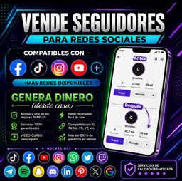 Imagen de PANEL DE SEGUIDORES